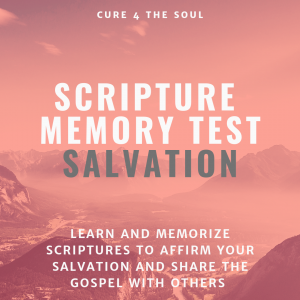 Salvation scripture test