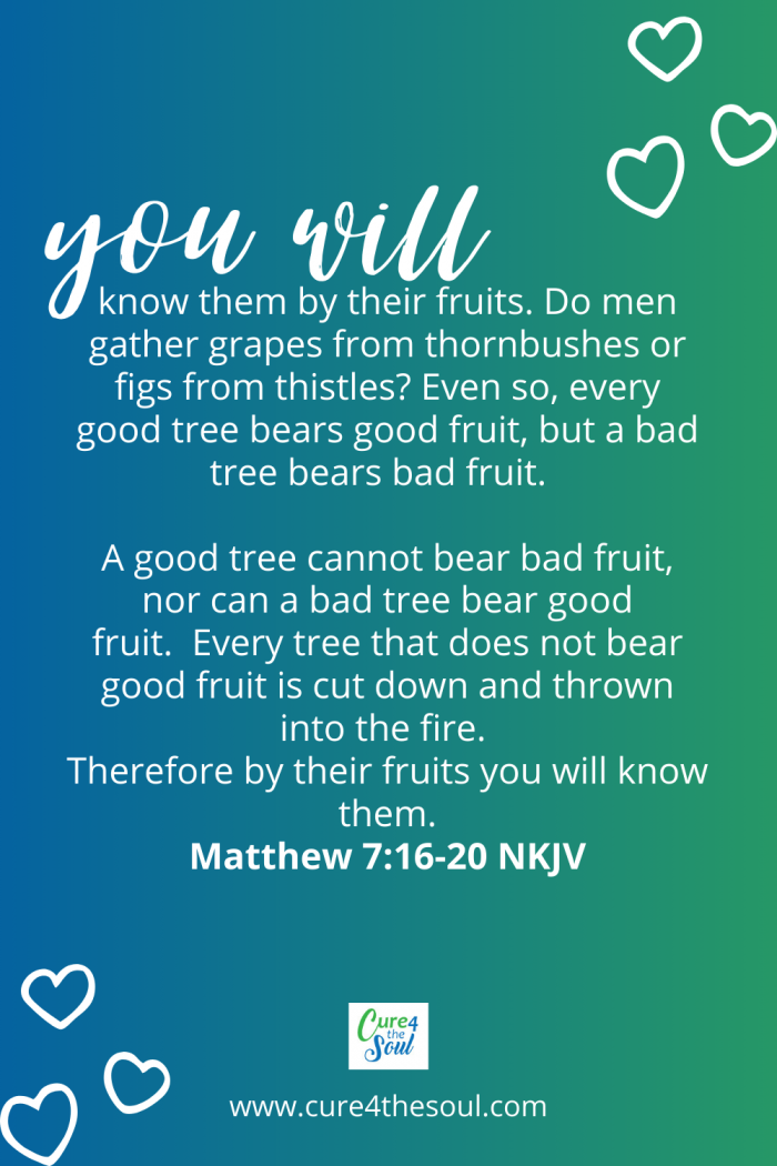 You’ll recognize them by their fruit. Are grapes gathered from thornbushes or figs from thistles? 17 In the same way, every good tree produces good fruit, but a bad tree produces bad fruit. Matthew 7:16-20